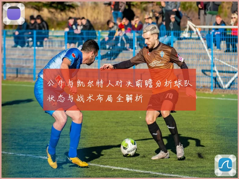 公牛与凯尔特人对决前瞻分析球队状态与战术布局全解析