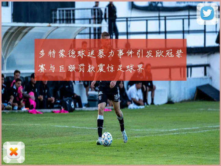 多特蒙德球迷暴力事件引发欧冠禁赛与巨额罚款震惊足球界